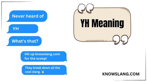 8k8.yh|what does yh mean in roblox.